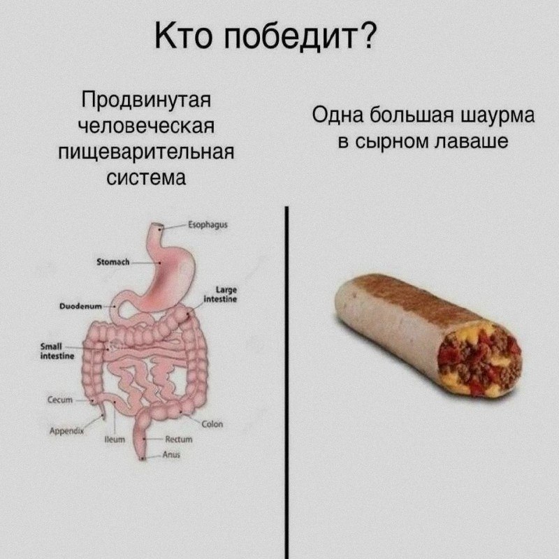 Ночная подборочка
Спать, режим