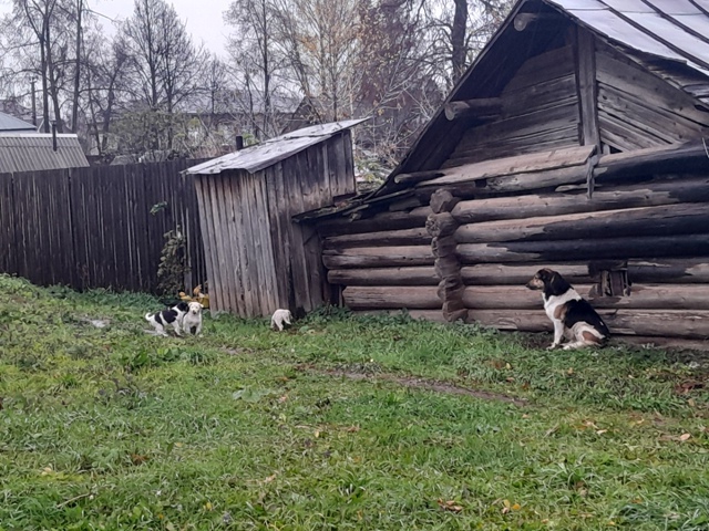 На улице Калинина за 