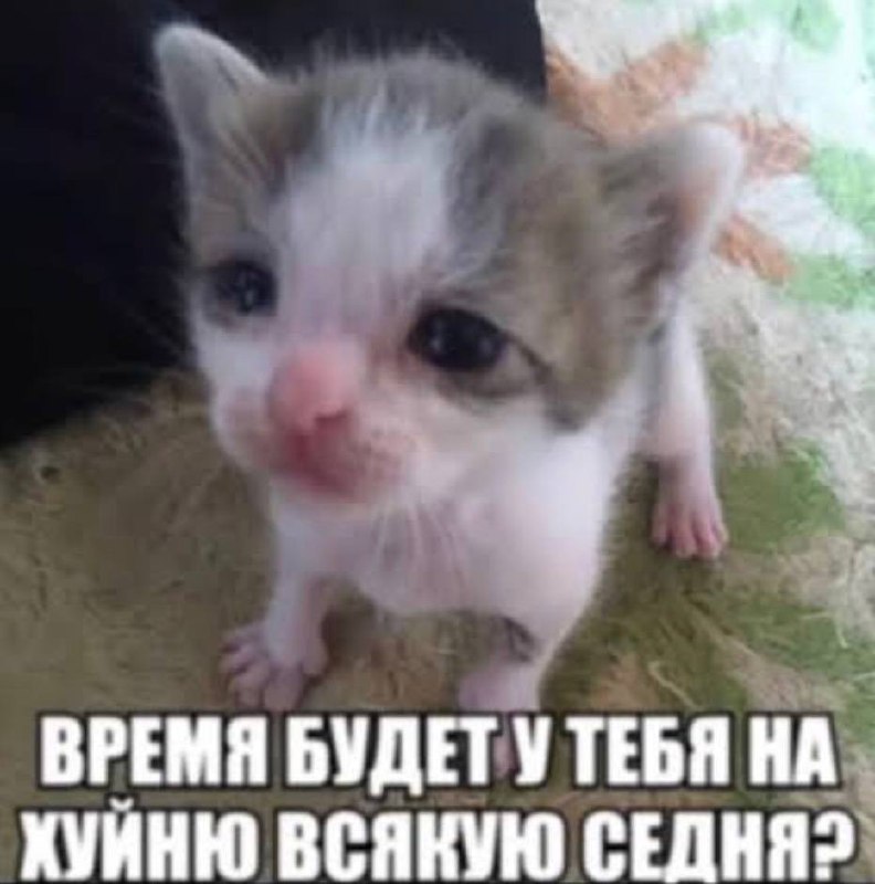 Я, когда он сидит работает за компом уже три часа