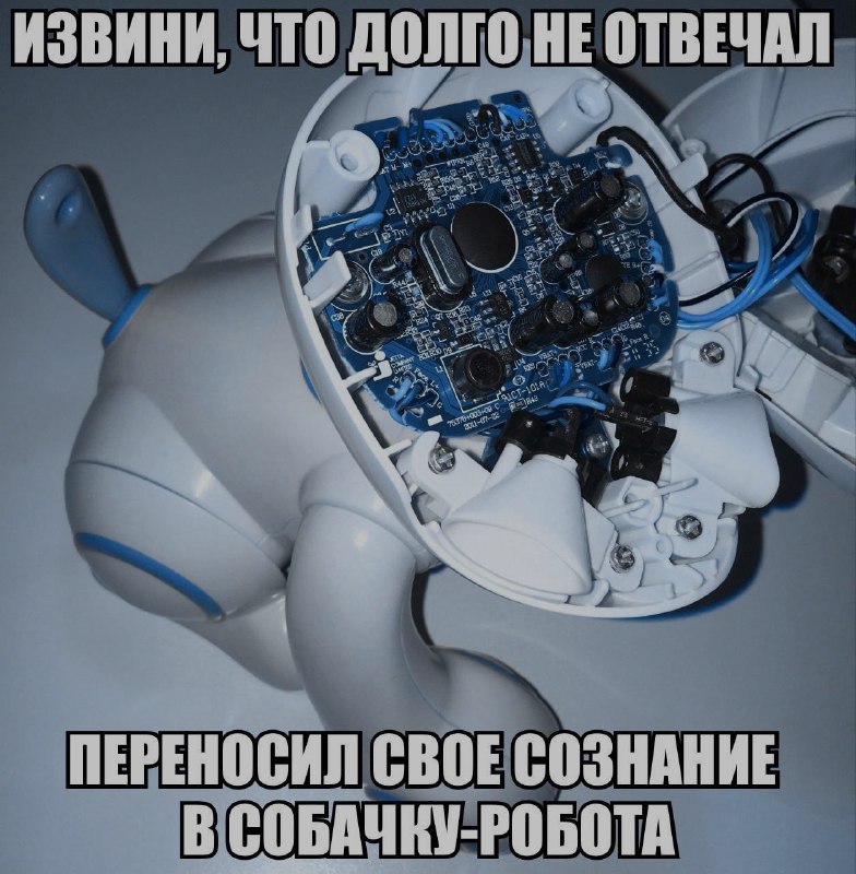 Ночная подборочка
Спать, режим