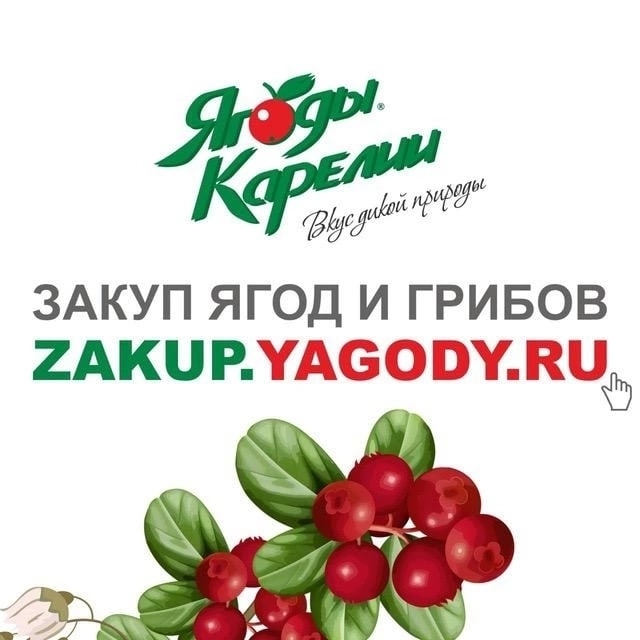 Куплю чернику 265₽/кг, смородину черную 230₽/кг, голубику...