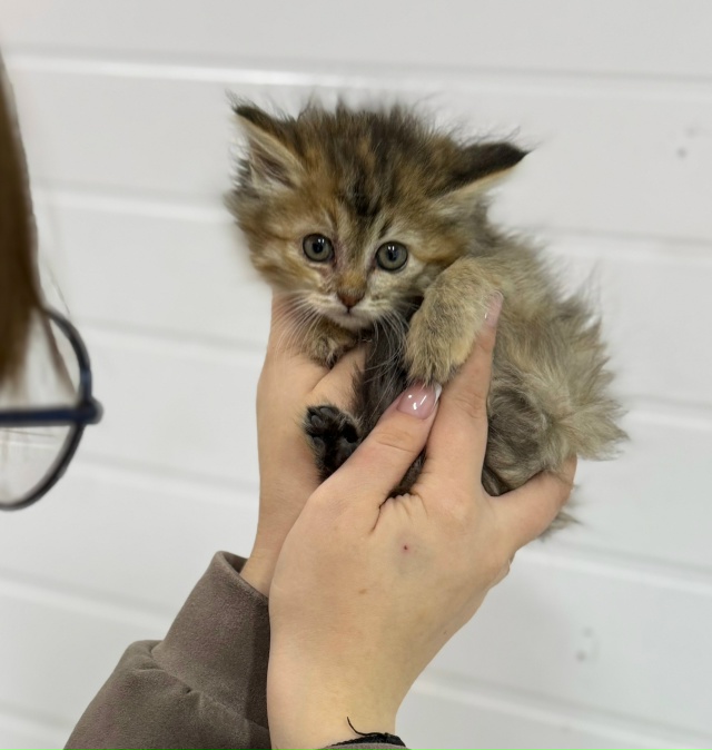 Посмотрите на этих маленьких крошек, загляните в эти п?...