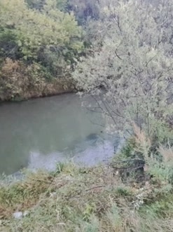 🖤 Ей было всего 18… Изнасилована и убита спустя 4 месяц...