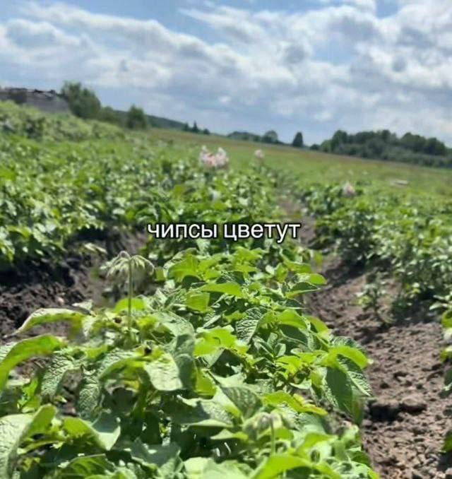 Утренняя подборочка