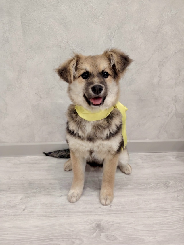 Самая плюшевая бусинка ищет своего человека! ❤️
Этот...