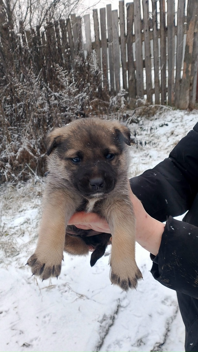 🆘️🆘️🆘️🆘️🆘️🆘️🆘
️Уважаемые жители нашего го?...