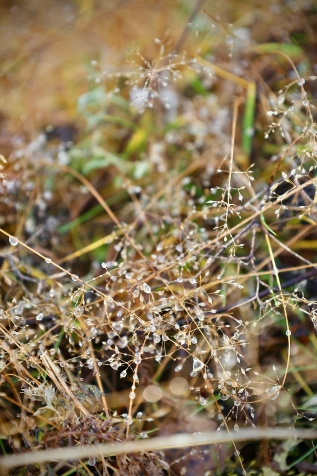Красивое начало ноября.
Фото: [id1430345|Елена Серикова]