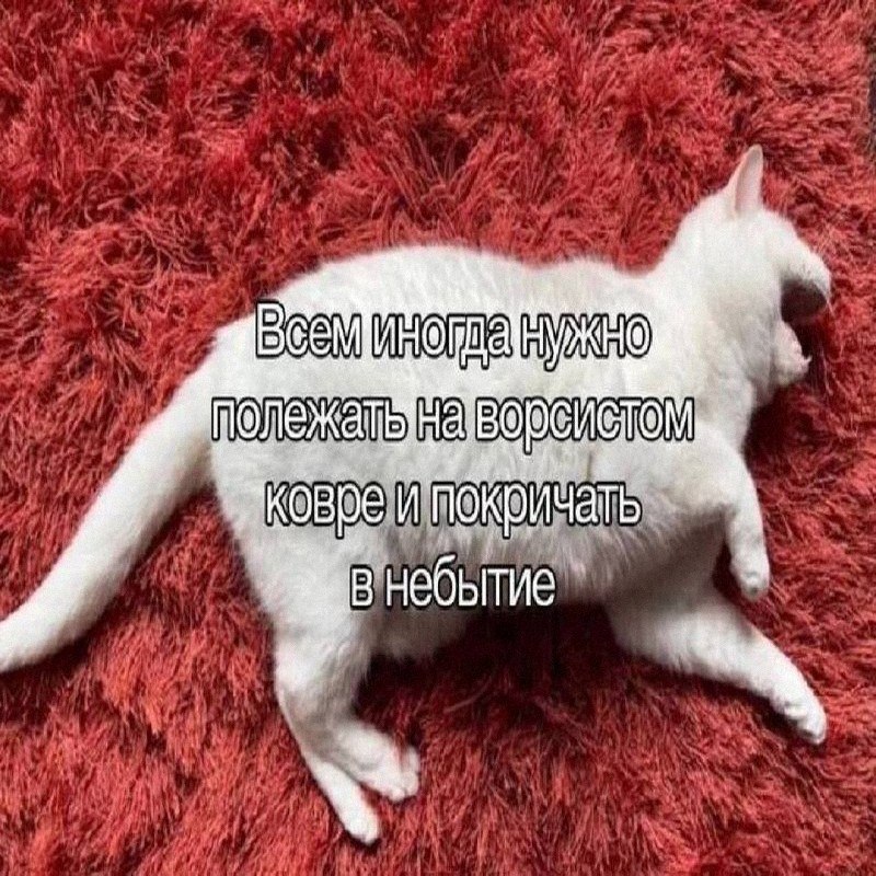 Утренняя подборочка