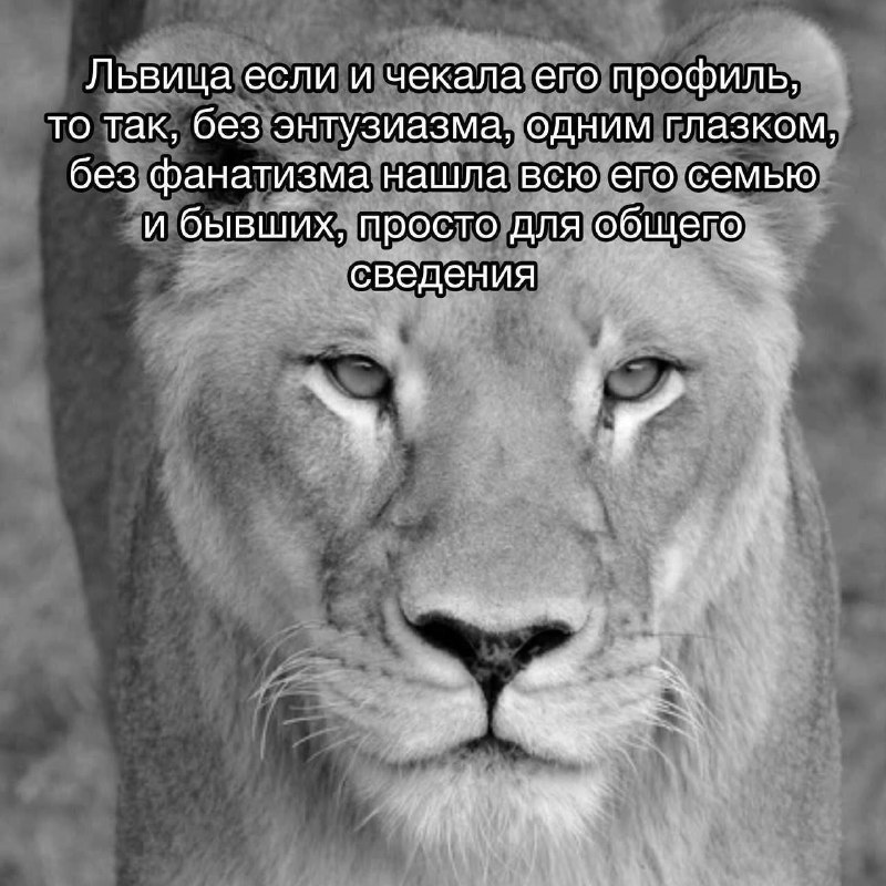 Утренняя подборочка