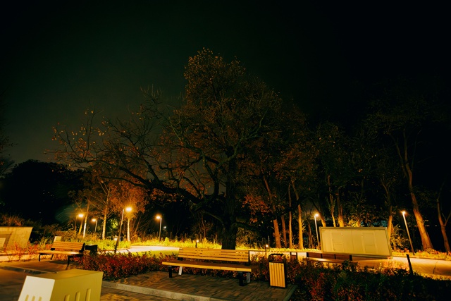 Безмолвная тишина на даче Константина Головкина