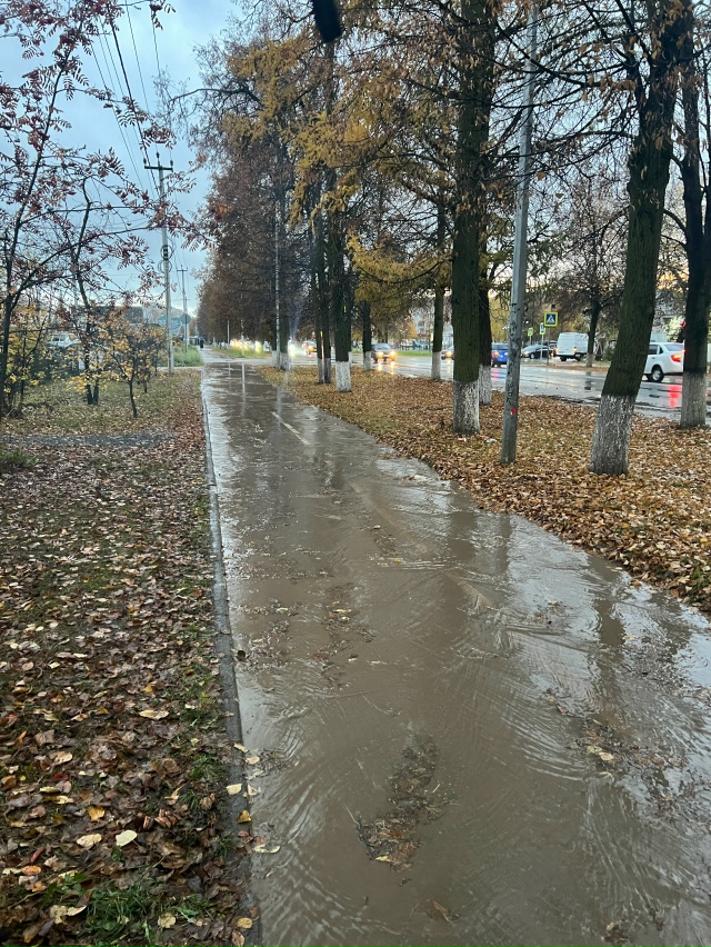 Как ходить по этому городу?! Анон