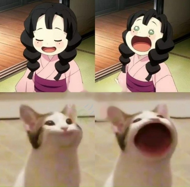 #мемы@anime