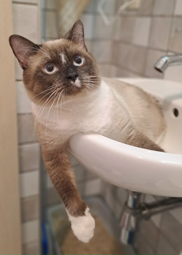 У Мирона утренние процедуры😃