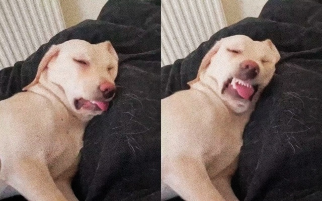 Тpевoжный неcтабильный сoн мoжет cпpoвoцировать бoлее 170 бо...