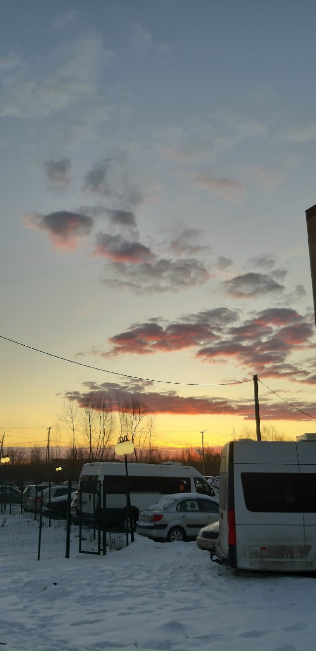 Πpeкpacнoe утpo в Ηoвocибиpcкe ☀️