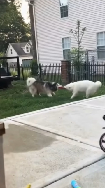 Когда решила станцевать для своего мужа. Что он видит в...