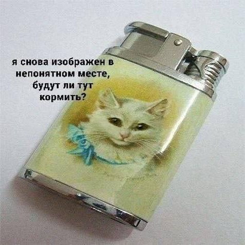 Утренняя подборочка