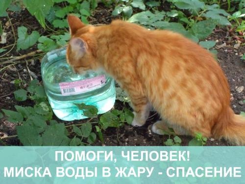 Дорогие протвинки и протвинцы! В такую жару не забывае?...