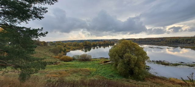 Можайское водохранилище, д. Мышкино. Много кошек и все ?...