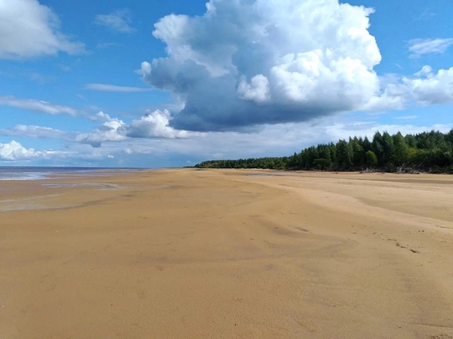Шикарный пляж на Рыбинском водохранилище.
Ярославска?...