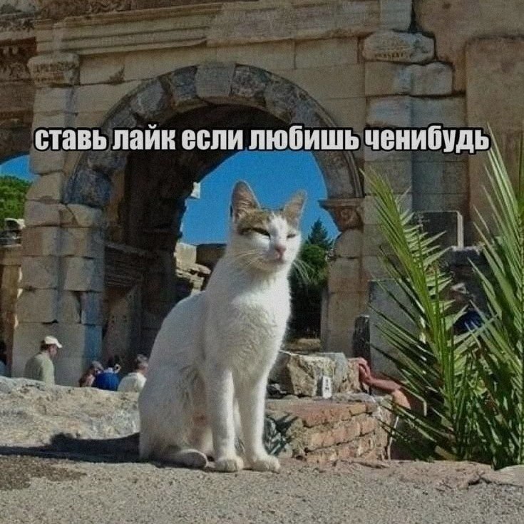 Ночная подборочка
Спать, режим