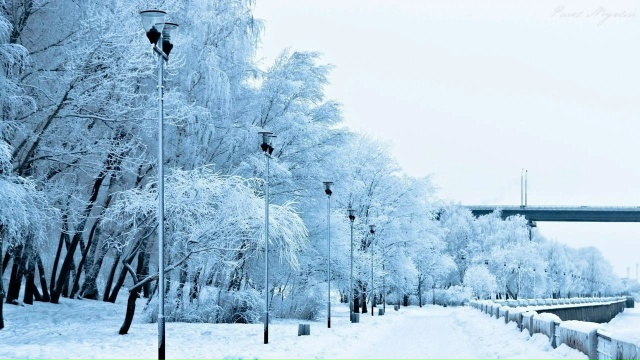 ⚡️Зима οбeщaeт быть самой холодной зa 250 лeт — cинοптиκи ...