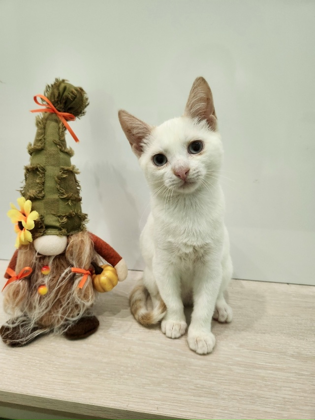 ВОЛГОРЕЧЕНСК ❗
ДВУМ БРАТИКАМ, БИБЕ И БОБЕ ОЧЕНЬ НУЖЕН...