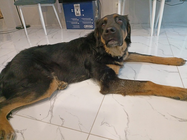 Админ, пожалуйста опубликуйте🙏🙏🙏
Сегодня ночью с у?...