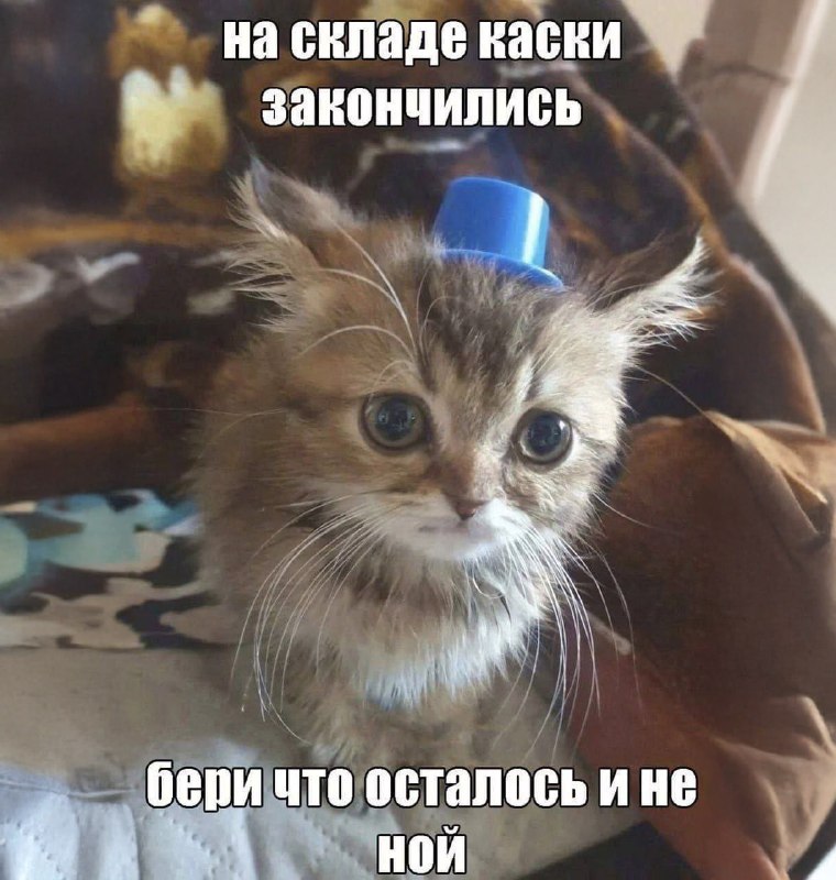 Утренняя подборочка