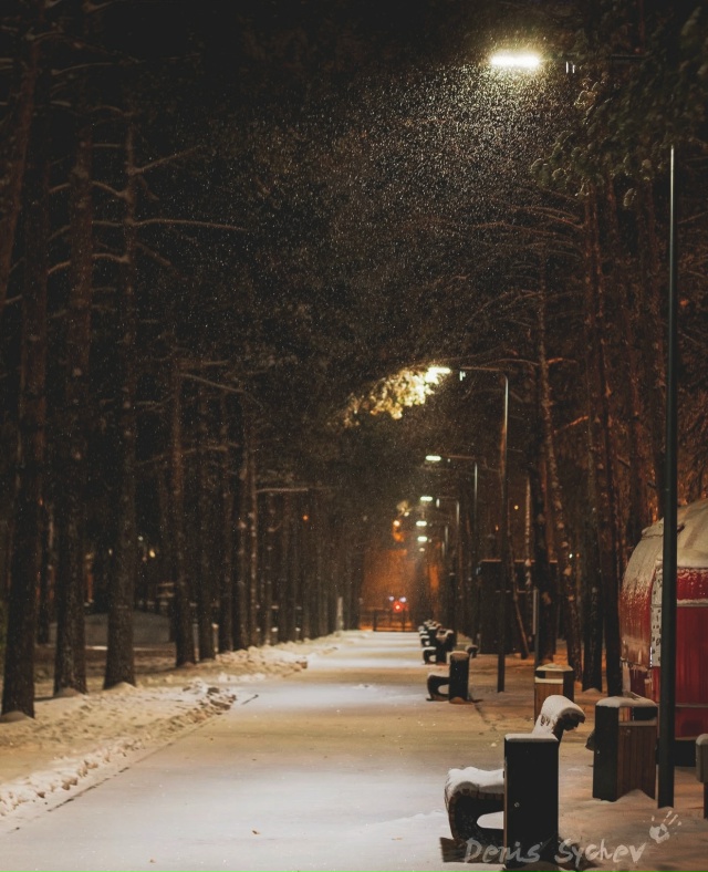 Доброй ночи, Тюмень✨