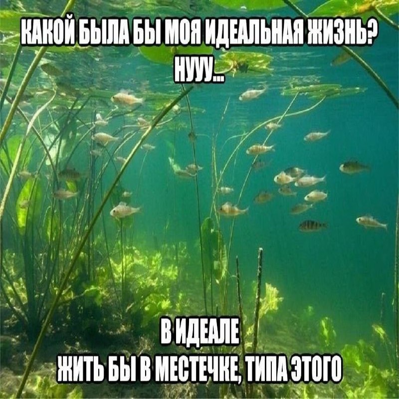 Утренняя подборочка