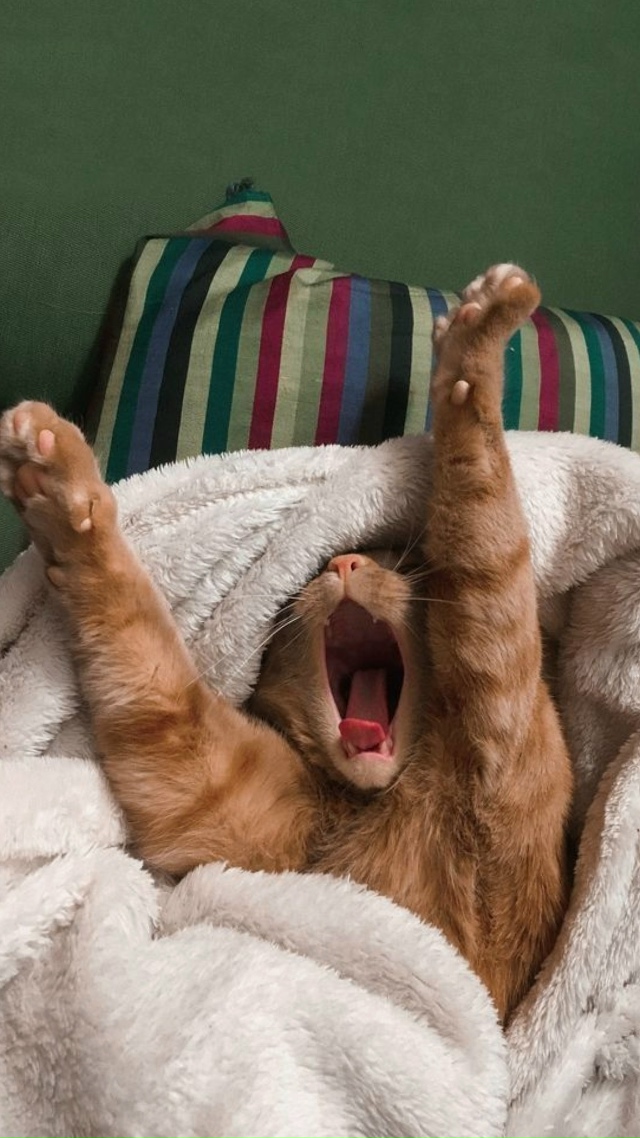 Так я хочу проводить время в пасмурную погоду❄🌧