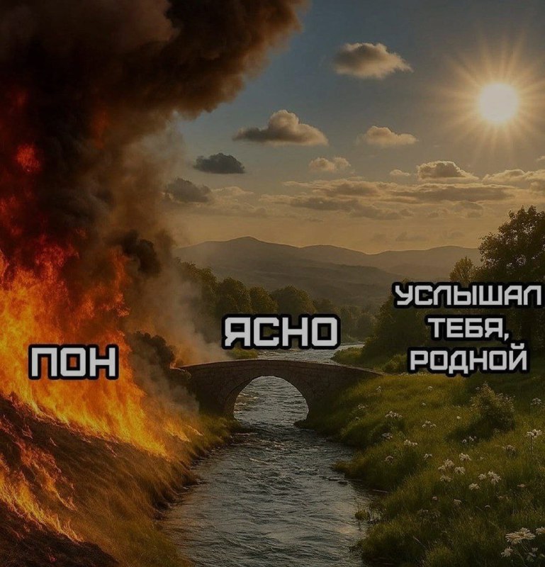 Ночная подборочка
Спать, режим