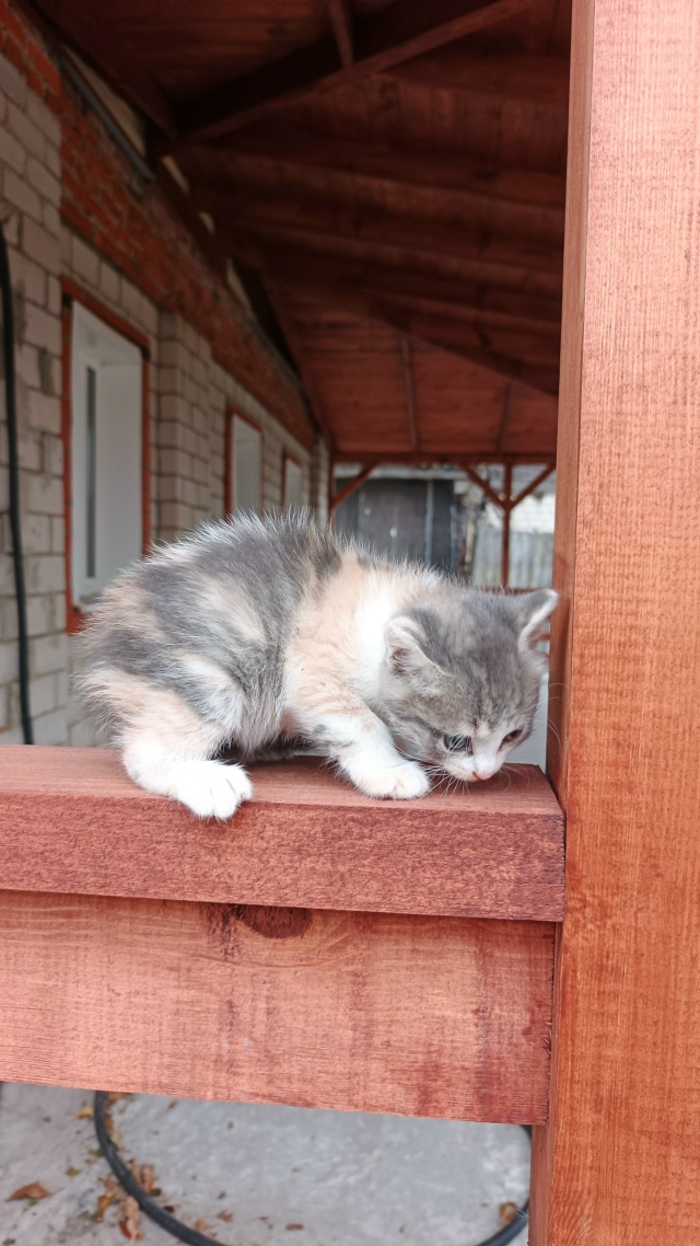 WARNING!!!
Осталась одна девочка!!!
Всех одноцветных забрал?...