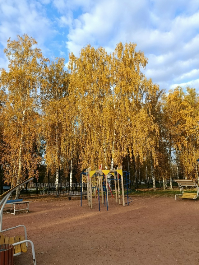 Сегодня хороший день, все красиво 🍁