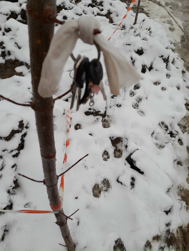 Ул.Первомайская
Ключики кто потерял?