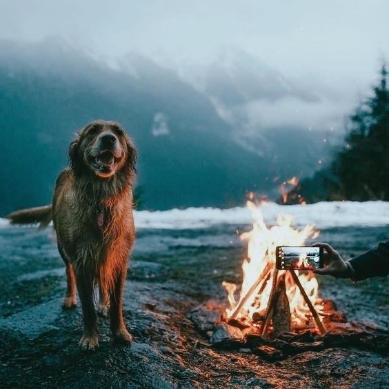 Душевный огонь не видно, но как от него тепло...
