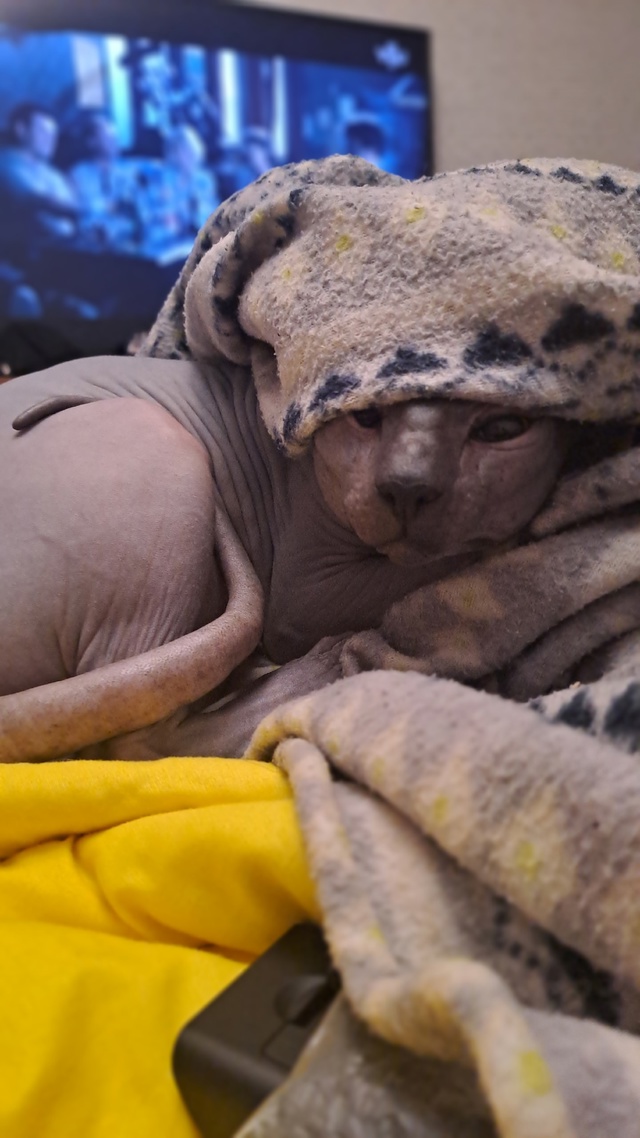 Мой Космос ?? Мой пирожок , мамин серенький волчонок ...