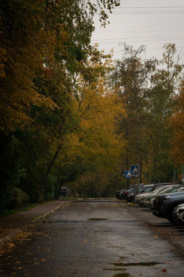 Золотая осень в нашем городке ??
?cshikhalizad