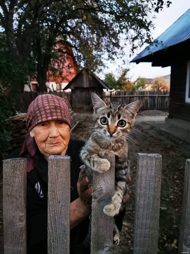 Деревенская идиллия❤