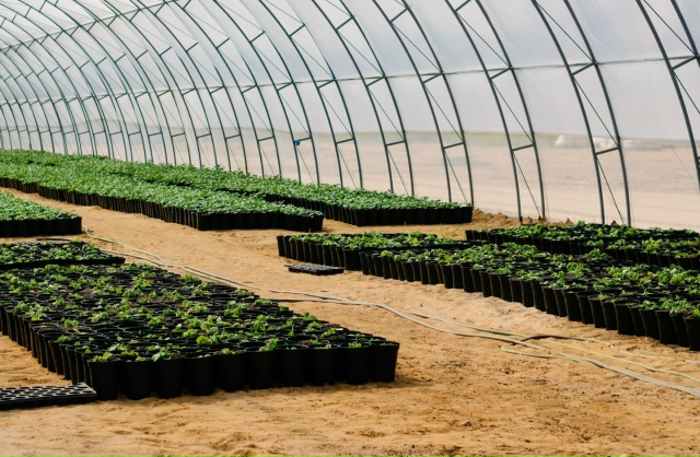 Наш тепличный комплекс ООО «Гарден Лаб» расширяется и ...