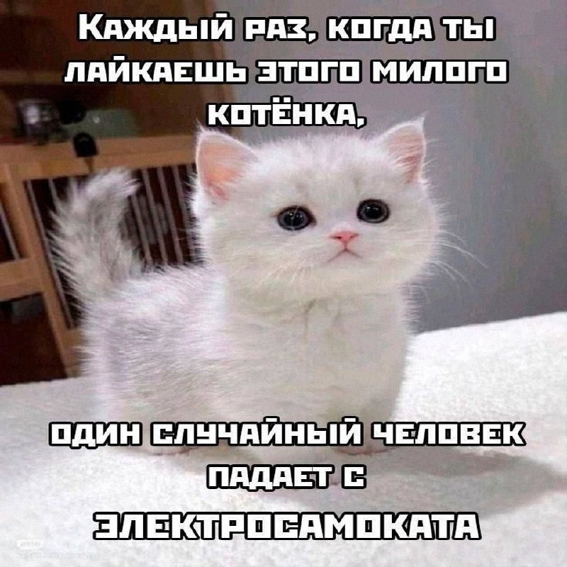 Утренняя подборочка