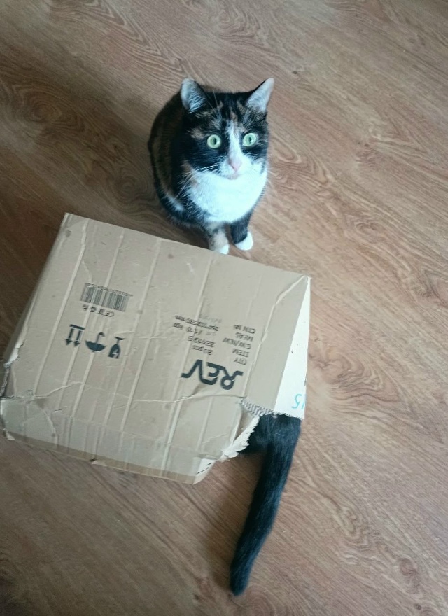 Доставка хвостов нуждающимся).