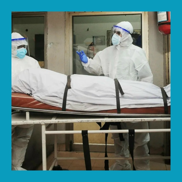 Смертельный вирус Нипах: в Индии умерла медсестра посл...