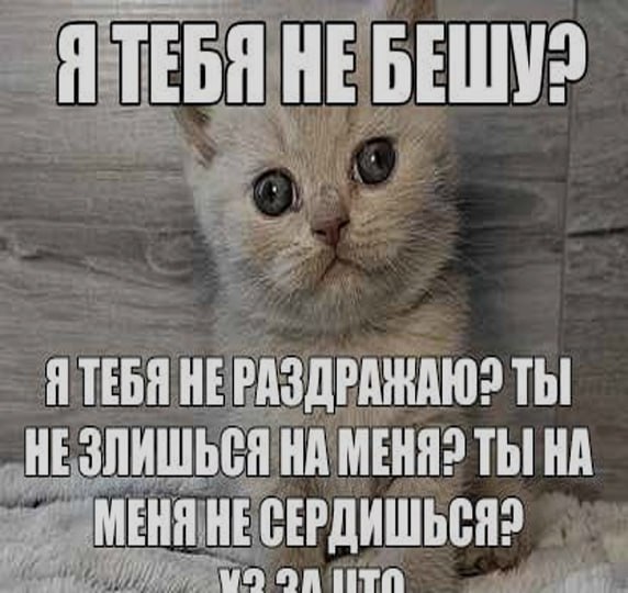 Ночная подборочка
Спать, режим