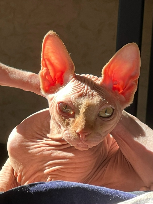 Совсем недавно Владимиру миновало 4 месяца.
Про всрато...