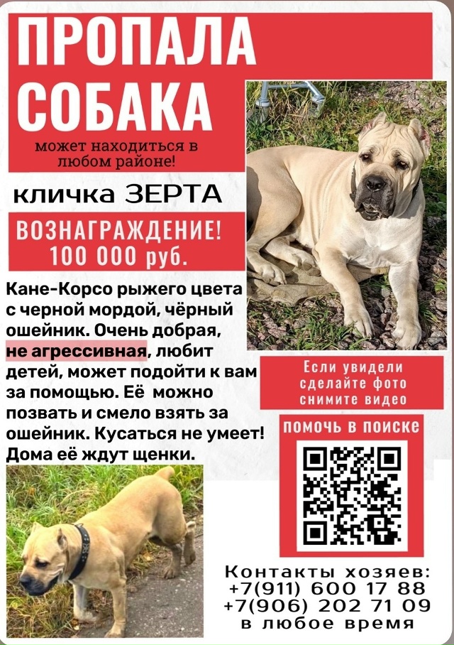 В.Новгород,может находиться в любом городе