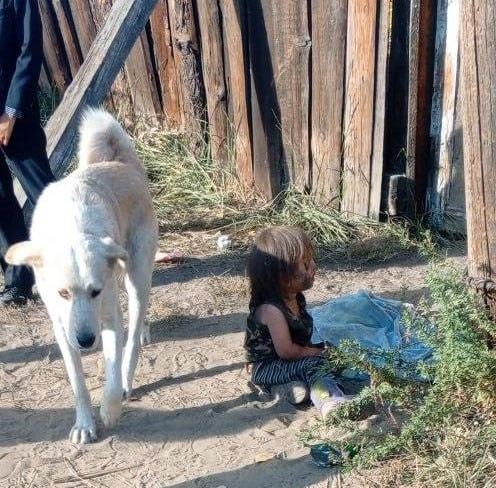 В Тыве произошло сразу два шокирующих инцидента с детьми, оставленными без присмотра.
В посёлке Ка