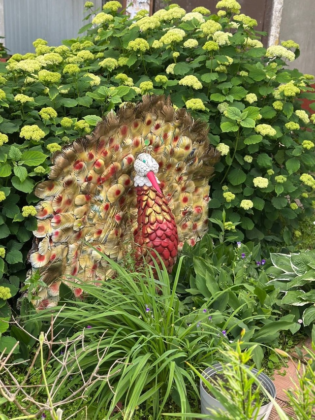 Вот такая красота у нашего подъезда! ?