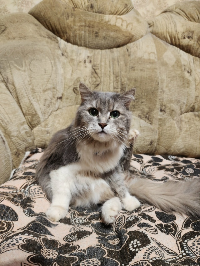 Тиша: А Вы умеете делать хобу?😊😊😊